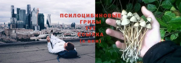 амф Кулебаки