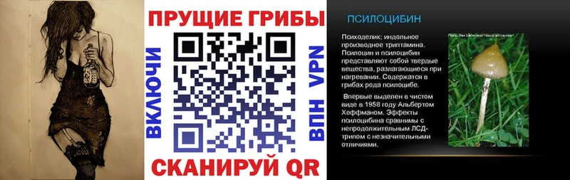 Галлюциногенные грибы мухоморы  Купить где  Урай 